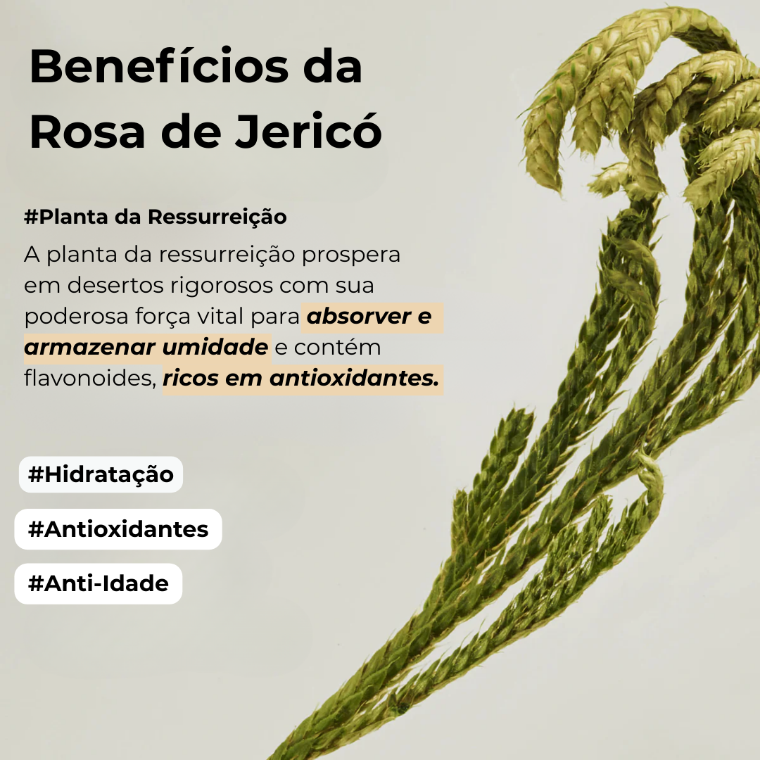 Máscara Noturna Rice Probiotics Jelly
